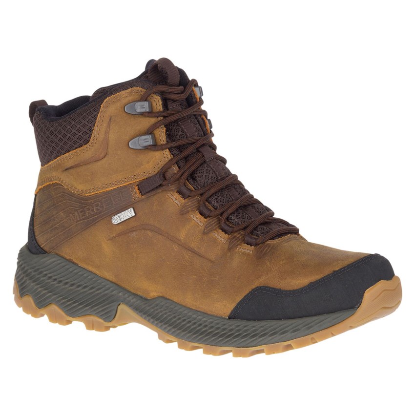 Chaussures Randonnée Merrell Forestbound Mid Waterproof Marron Homme | T.Y.JJCH